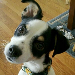 Meet your Posher, Lisa